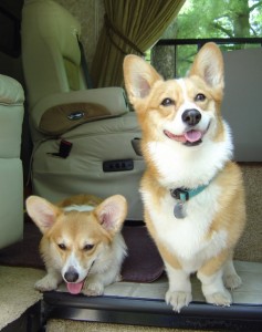 Our RVing Kids