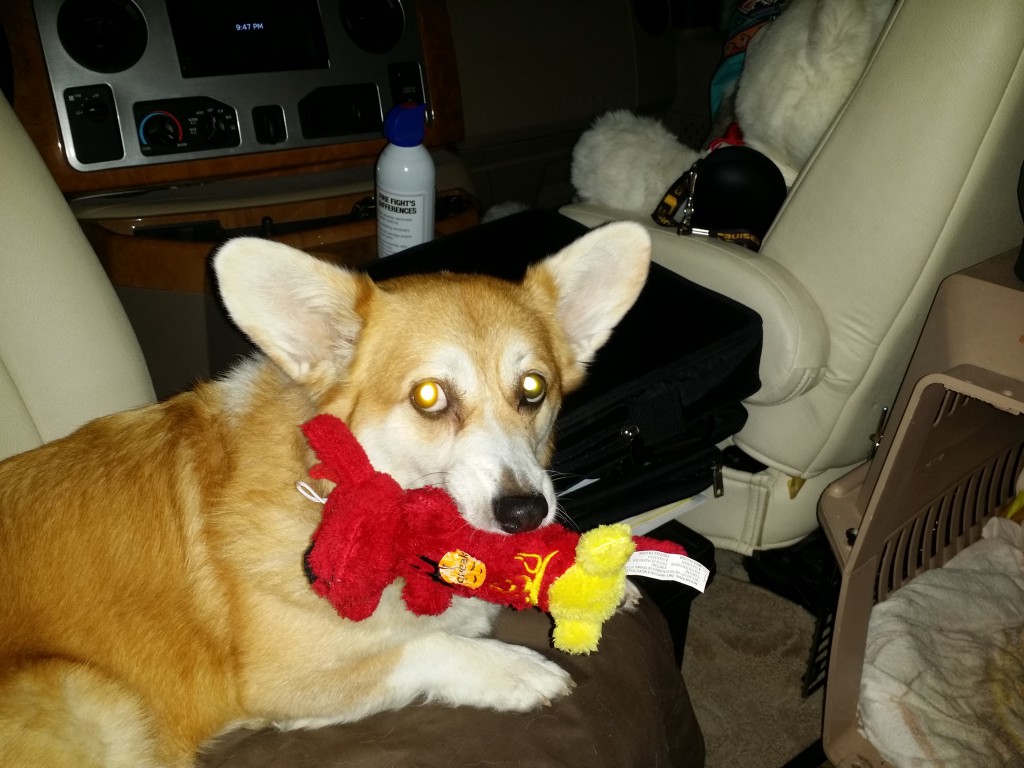 An RVing Answer How Does RV Water System Work! Your Full Time