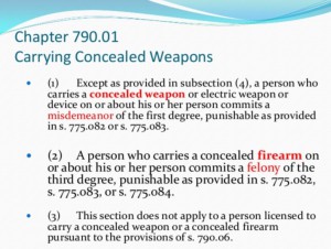 Florida Concealed Carry Permit
