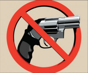 florida concealed carry laws