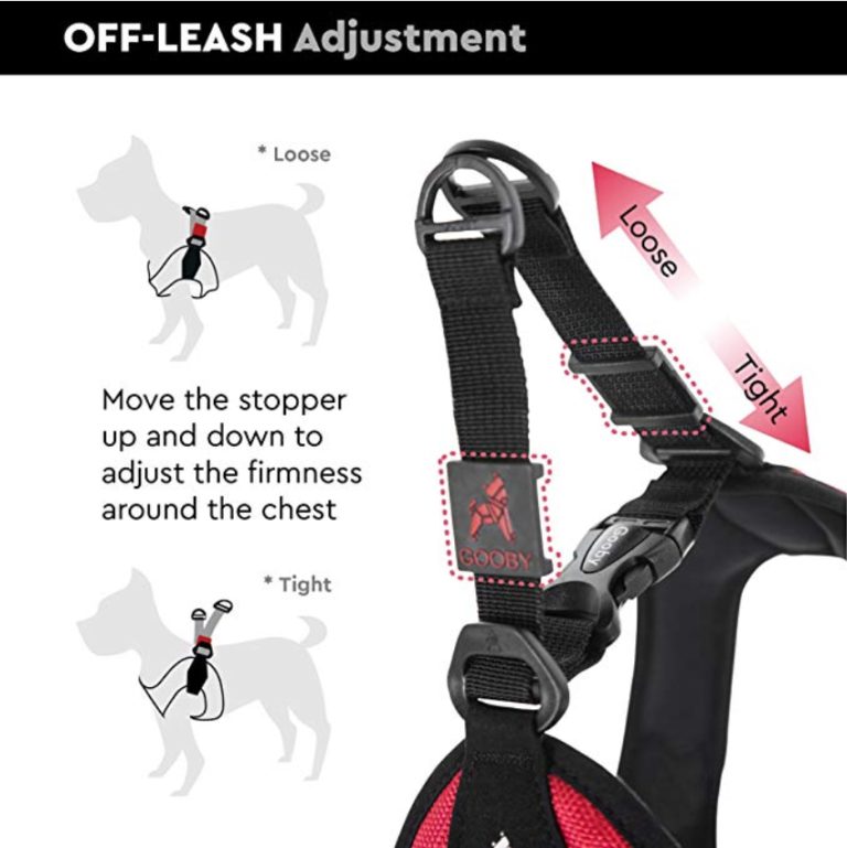 https://yourfulltimervliving.com/wp-content/uploads/2019/05/Gooby-Escape-Free-Easy-Fit-Harness-768x769.jpg